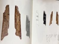 中文書 故宮博物院蔵殷墟甲骨文 全6冊揃【馬衡巻 全3冊・謝伯殳巻 全3冊】