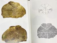 中文書 故宮博物院蔵殷墟甲骨文 全6冊揃【馬衡巻 全3冊・謝伯殳巻 全3冊】