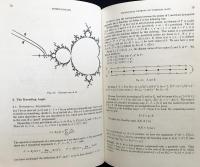 英語数学洋書 実数および複素力学系【Real and Complex Dynamical Systems】