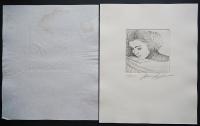 【銅版画5葉付/特装版限定600部】『城景都 全版画集』 