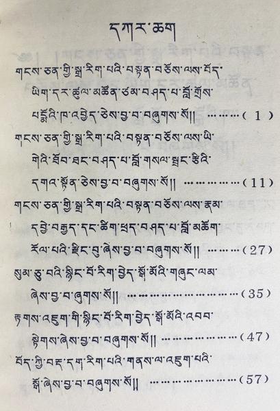 蔵文文法詳解 (བོད་གངས་ཅན་གྱི་སྒྲ་རིག་པའི་བསྟན་བཅོས་ལེ་ཚན་འགའ་ཕྱོགས