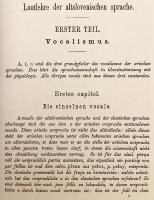 【ドイツ語洋書】 スラヴ語派の比較文法 『Vergleichende Grammatik der slavischen Sprachen』