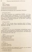 【ドイツ語・モンゴル語洋書】 内モンゴル オロン・スム遺跡の蒙文石碑と写本断片 『Die mongolische Steininschrift und Manuskriptfragmente aus Olon süme in der Inneren Mongolei』