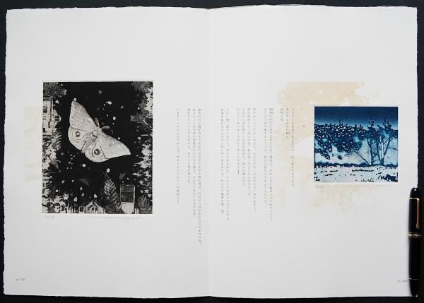 中林忠良 銅版画2点『蛾Ⅰ:いたいたしげなあかつきさして