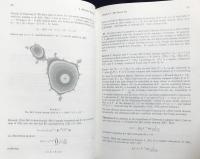 英語数学洋書 ラショナル反復：複素解析的力学系【Rational Iteration:Complex Analytic Dynamical Systems】