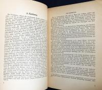 ドイツ語洋書 英語の高度な過去形と完了形：時相と時制の研究【Erweiterte Form, Präteritum und Perfektum im Englischen : eine Aspekt- und Tempusstudie】