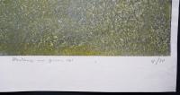 萩原英雄 大判木版画『緑の幻想 No.4 (Fantasy in green)』限定30部