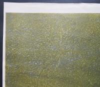 萩原英雄 大判木版画『緑の幻想 No.4 (Fantasy in green)』限定30部