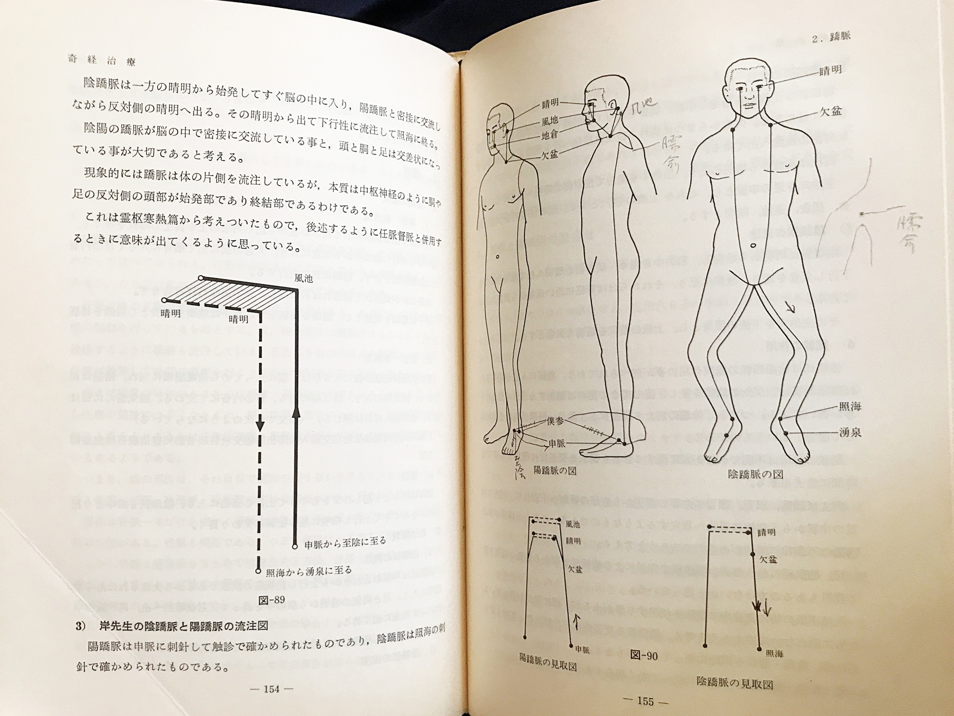 経別・経筋・奇経療法(入江正 著) / 古本、中古本、古書籍の通販は
