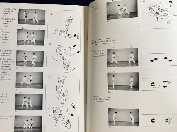 ひとりでできる入門書 釵 (SAI)(井上元勝=著 ; 青濤社=編