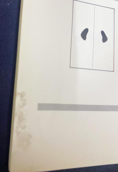 ひとりでできる入門書 鎌 (KAMA)(井上元勝著 ; 青濤社編) / 古本