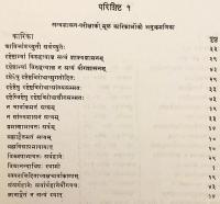 【サンスクリット・ヒンディー語・英語洋書】 ジャイナ教学者 ヴィディヤーナンディ著「サティヤーシャーサン・パリークシャー」：ヒンディー語による序論と付録付き 『Satyaśāsan parīksā of Āchārya Vidyānandi : with Hindi introduction & appendices = आचार्य विद्यानन्दिकृत सत्यशासन-परीक्षा : हिन्दी प्रस्तावना तथा परिशिष्ट सहित』