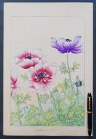 土屋楽山 木版画 洋草花譜『アネモネ (Anemone)』