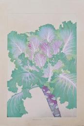土屋楽山 木版画 洋草花譜『ブラシカ (Brassica』