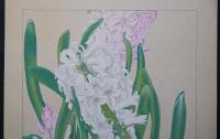 土屋楽山（楽山篁子生）木版画 洋草花譜『ヒヤシンス(Hyacinthus)』