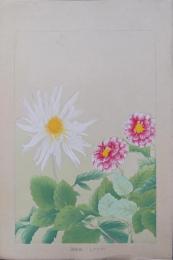 土屋楽山（楽山篁子生） 木版画 洋草花譜『ダリア (Dahlia)』