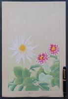 土屋楽山（楽山篁子生） 木版画 洋草花譜『ダリア (Dahlia)』