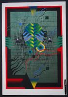 黒崎彰 大判木版画『迷彩譜1(Camouflaged World )』W233 限定50部