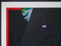 黒崎彰 大判木版画『迷彩譜2(Camouflaged World)』W234 限定50部