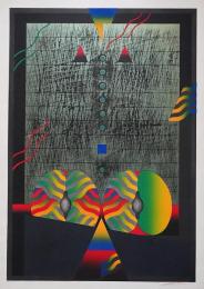 黒崎彰 大判木版画『迷彩譜4(Camouflaged World)』W236 限定50部
