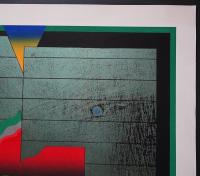 黒崎彰 大判木版画『迷彩譜7(Camouflaged World)』W245 限定50部