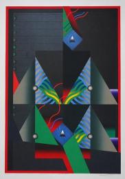 黒崎彰 世界版画賞受賞作 大判木版画『迷彩譜8(Camouflaged World)』W246 限定50部
