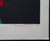 黒崎彰 世界版画賞受賞作 大判木版画『迷彩譜8(Camouflaged World)』W246 限定50部