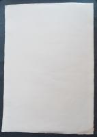 黒崎彰 ポートランド美術館国際版画展買上賞 大判木版画(韓国楮紙)『はこぶね:ガイアシリーズ』W480 限定50部