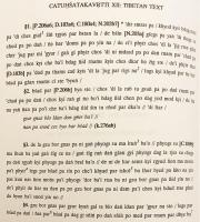 【英語・サンスクリット・チベット語・中国語洋書 / 全2冊揃い】 提婆 (アーリヤデーヴァ), 護法 (ダルマパーラ), 月称 (チャンドラキールティ) 研究資料：提婆著「四百論」第12・13章, 護法と月称の注釈付き：序論, 翻訳, サンスクリット・チベット語・中国語テキストと注釈 『Materials for the study of Āryadeva, Dharmapāla and Candrakīrti : the Catuḥśataka of Āryadeva, chapters XII and XIII, with the commentaries of Dharmapāla and Candrakīrti : introduction, translation, Sanskrit, Tibetan and Chinese texts, notes』