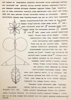 【蒙文書】 19-20世紀初頭 ハルハ地方における伝統的装飾モチーフの種類から 『Халхын зарим нутгийн хээ угалзны зүйлээс (XIX-XX зууны эхэн)』