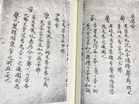 古辞書音義集成 19冊セット(全20巻の内、第12巻欠)