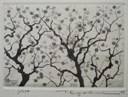田中良平 銅版画『柿(2)』 Ed.150の内,No.1