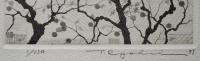 田中良平 銅版画『柿(2)』 Ed.150の内,No.1