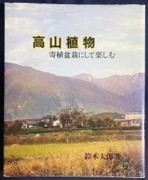 高山植物を寄植盆栽にして楽しむ