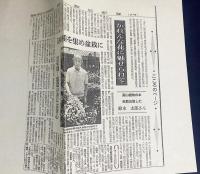 高山植物を寄植盆栽にして楽しむ