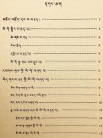 【蔵文書】 智者の言葉の装飾：チベット語の単語概説 『智者语饰：藏文字词概述 (智者語飾：藏文字詞概述)：蔵文』