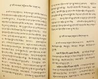 【蔵文書】 智者の言葉の装飾：チベット語の単語概説 『智者语饰：藏文字词概述 (智者語飾：藏文字詞概述)：蔵文』