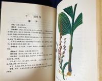 中文書 内蒙古中草薬