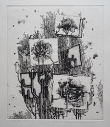 中林忠良 銅版画『剥離される風景-花の憂患』 限定50部 