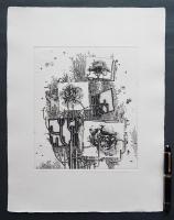中林忠良 銅版画『剥離される風景-花の憂患』 限定50部 