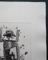 中林忠良 銅版画『剥離される風景-花の憂患』 限定50部 