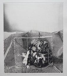 中林忠良 銅版画『囚われる風景-払暁』 限定50部 