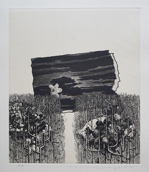 浜西勝則 メゾチント 大判銅版画『Crevice-Work No.5』限定50部 浜西勝則 メゾチント 大判銅版画『Crevice-Work No.5』限定50部