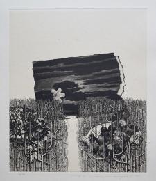 中林忠良 銅版画(雁皮刷り)『剥離される風景-化石する林』 限定50部