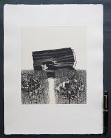 中林忠良 銅版画(雁皮刷り)『剥離される風景-化石する林』 限定50部