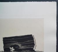 中林忠良 銅版画(雁皮刷り)『剥離される風景-化石する林』 限定50部