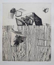 中林忠良 銅版画(雁皮刷り)『囚われる風景-秋愁』 限定50部