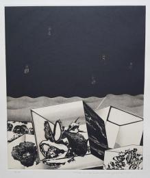 中林忠良 銅版画(雁皮刷り)『囚われる風景-孤海』 限定50部