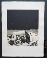 中林忠良 銅版画(雁皮刷り)『囚われる風景-孤海』 限定50部
