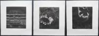 【直筆サイン入り銅版画 全12枚揃】竹田和子 銅版画集：12宮の星座　限定100部
